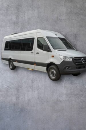 Transporte a Teotihuacán desde la Ciudad de México- Hasta 14 pax