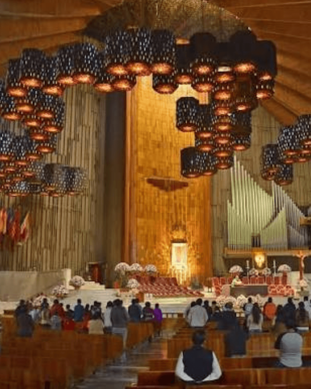 Adicional - Visita Basílica de Guadalupe - Image 7